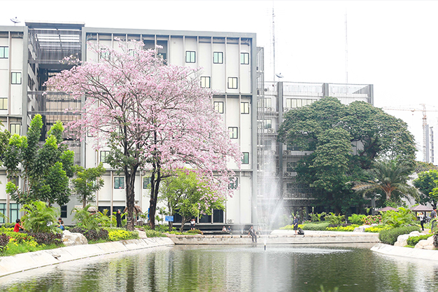 学校图片