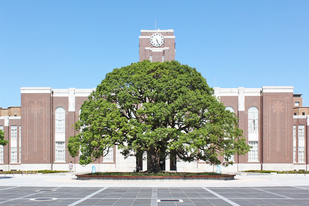 学校图片