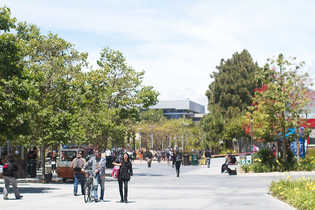 学校图片