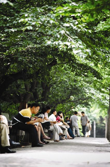 学校图片
